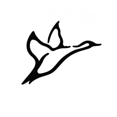 Combat Waterfowl